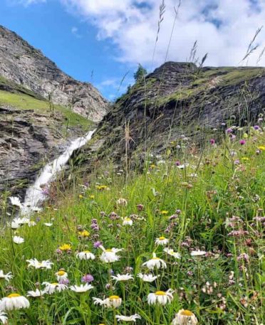 Cascade Champagny
