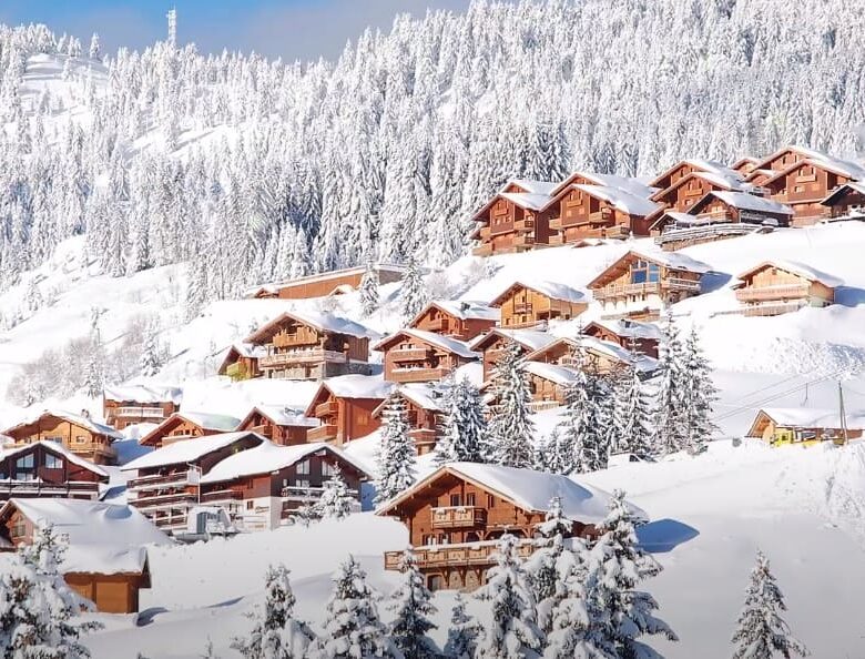 les-saisies
