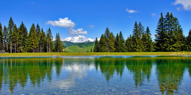 Photo d'un lac entouré de sapins à Crest Voland