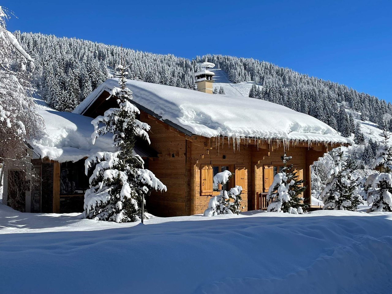 Chalet Ours à lunettes - Les Saisies